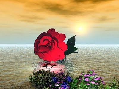 amor gif. (POEM concatenated) paisajes de amor. amor gif. (POEM concatenated)