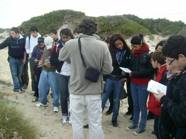 [ALIM4131.JPG]
