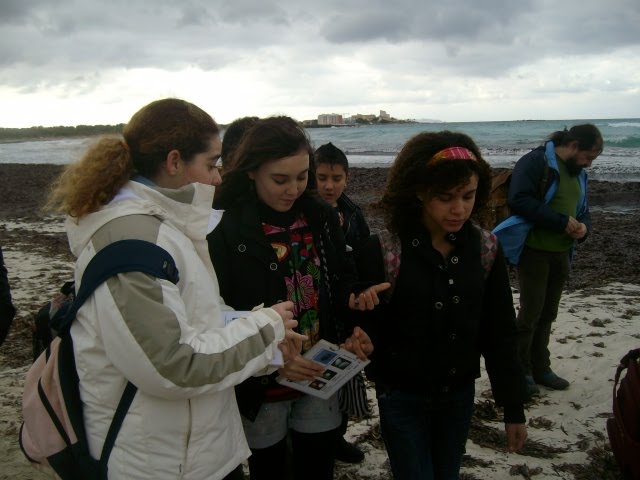 [ALIM4125.JPG]