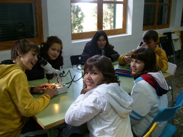 [ALIM4179.JPG]