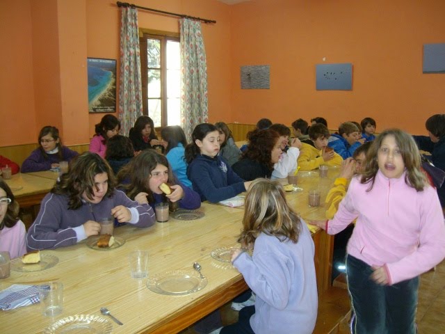 [ALIM4168.JPG]