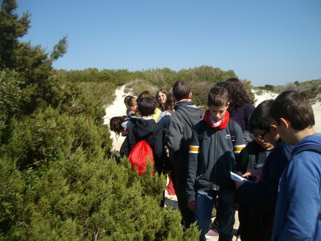 [ALIM3765.JPG]
