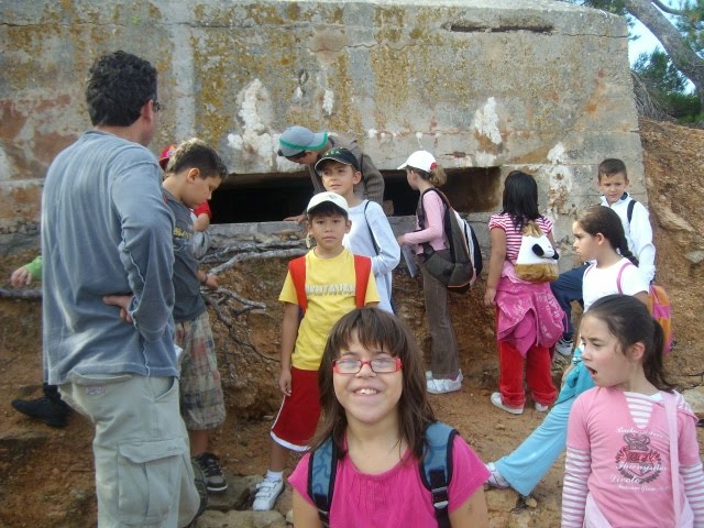 [ALIM2751.JPG]