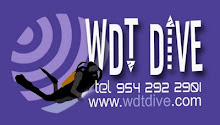 wdt Website