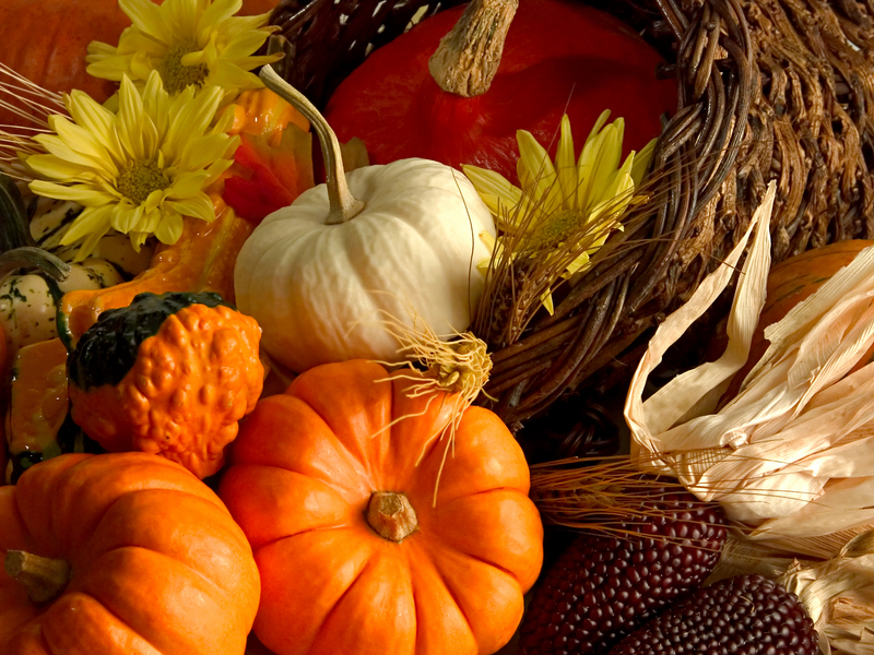 [thanksgiving.jpg]