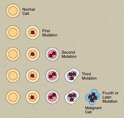 [genes-cancer.gif]