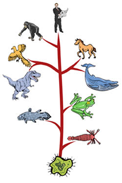 [026_TreeOfLife.jpg]