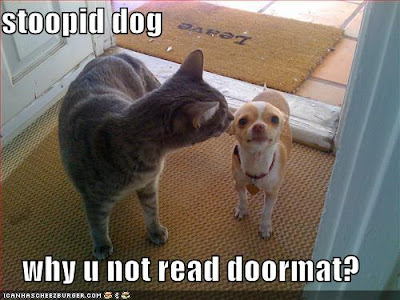 Haircut Lolcat