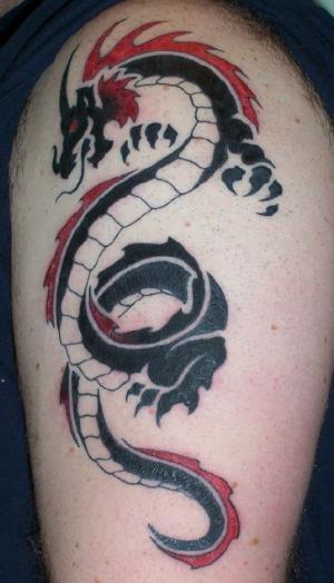 tribal dragon trends tattoo Posted by bro at 941 AM