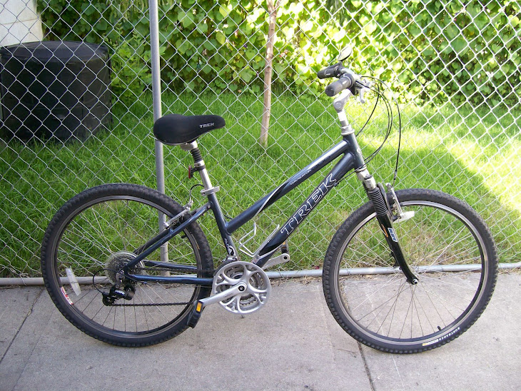 Misao's Mountain Bike