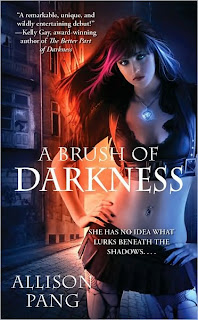 Guest Review: A Brush of Darkness by Allison Pang