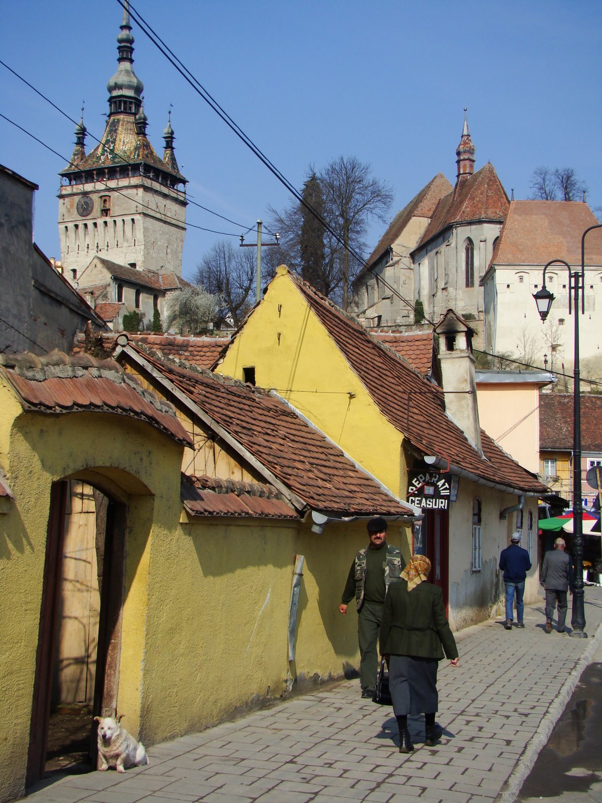 [DSC05765.JPG]