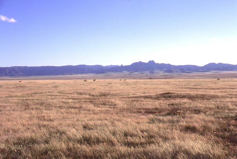temperate grassland land features Temperate grasslands are characterized as having grasses as the dominant one quarter of the earth's land is covered with grasslands temperate grassland biome:. temperate grassland land features Temperate grasslands are characterized as having grasses as the dominant one quarter of the earth's land is covered with grasslands temperate grassland biome:.