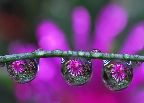 The Beautiful Colors of Life