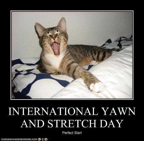 CAT+-yawn%26strech+day.jpg