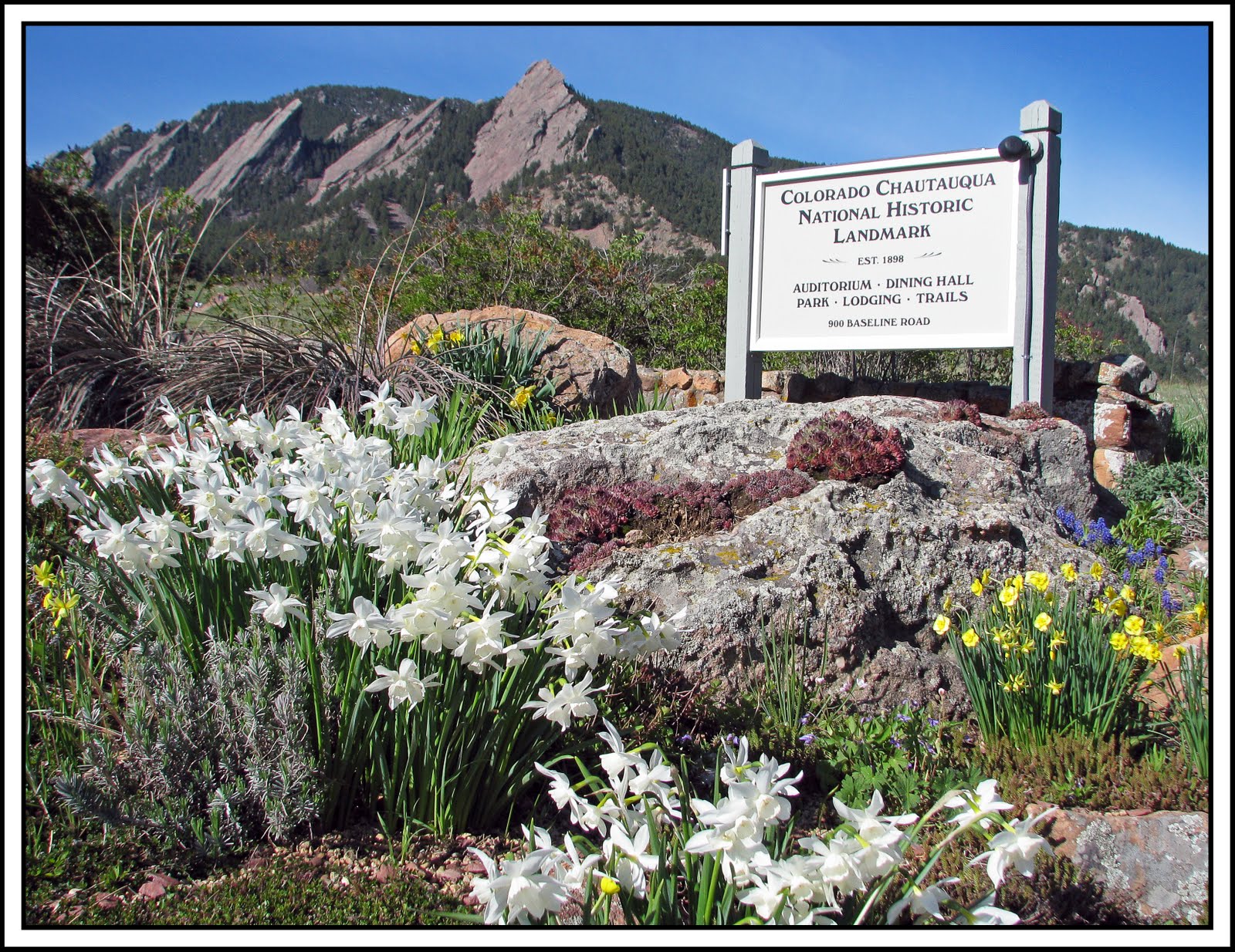 stuff i've photographed royal arch hike