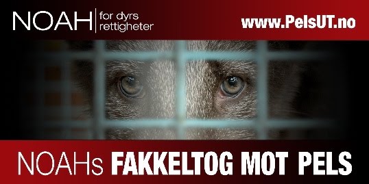 [fakkeltog+banner+nett[1]+(2).jpg]