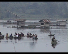 BUAYA KERAMAT MILIK RADEN MATAHER