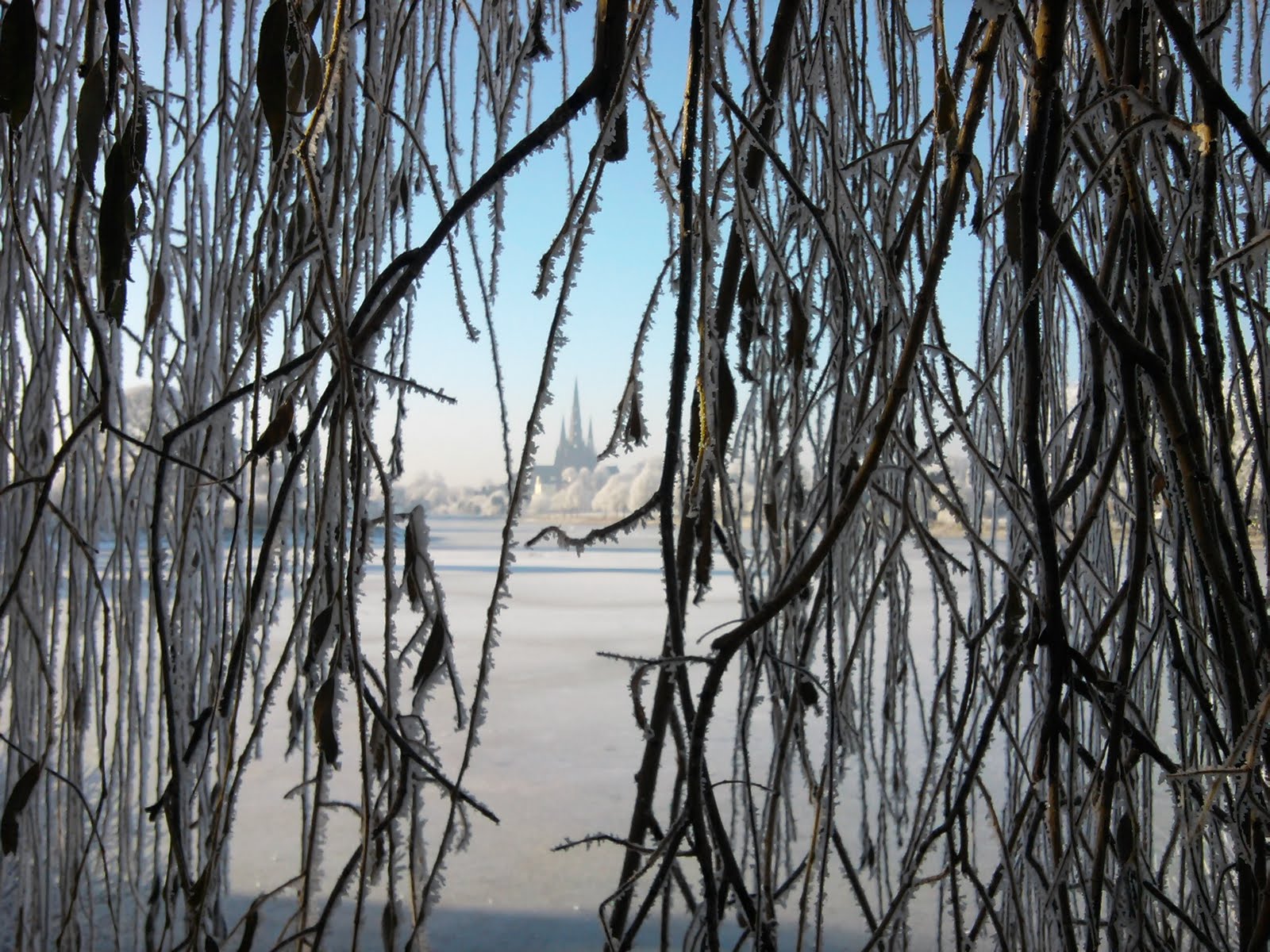 CLOSE ENCOUNTERS December 2010