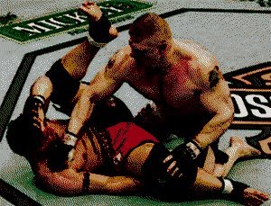 [100123-d-lesnar-fight.jpg]