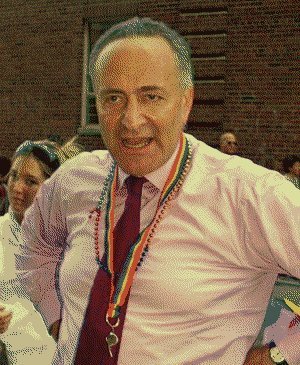 [080812-dem-schumer.jpg]