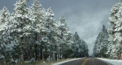 [081218-snow-az.jpg]