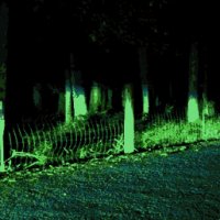 [090308-headlights.jpg]