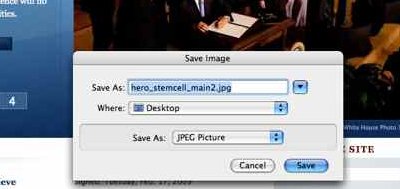 [090310-stemcell-hero2.jpg]