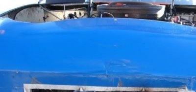 [090807-coyote2.jpg]