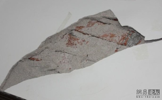 [20091023soybeanbuilding06.jpg]