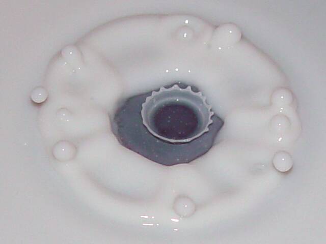 [NestedSplash.jpg]