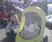 Aspen enjoying lunch