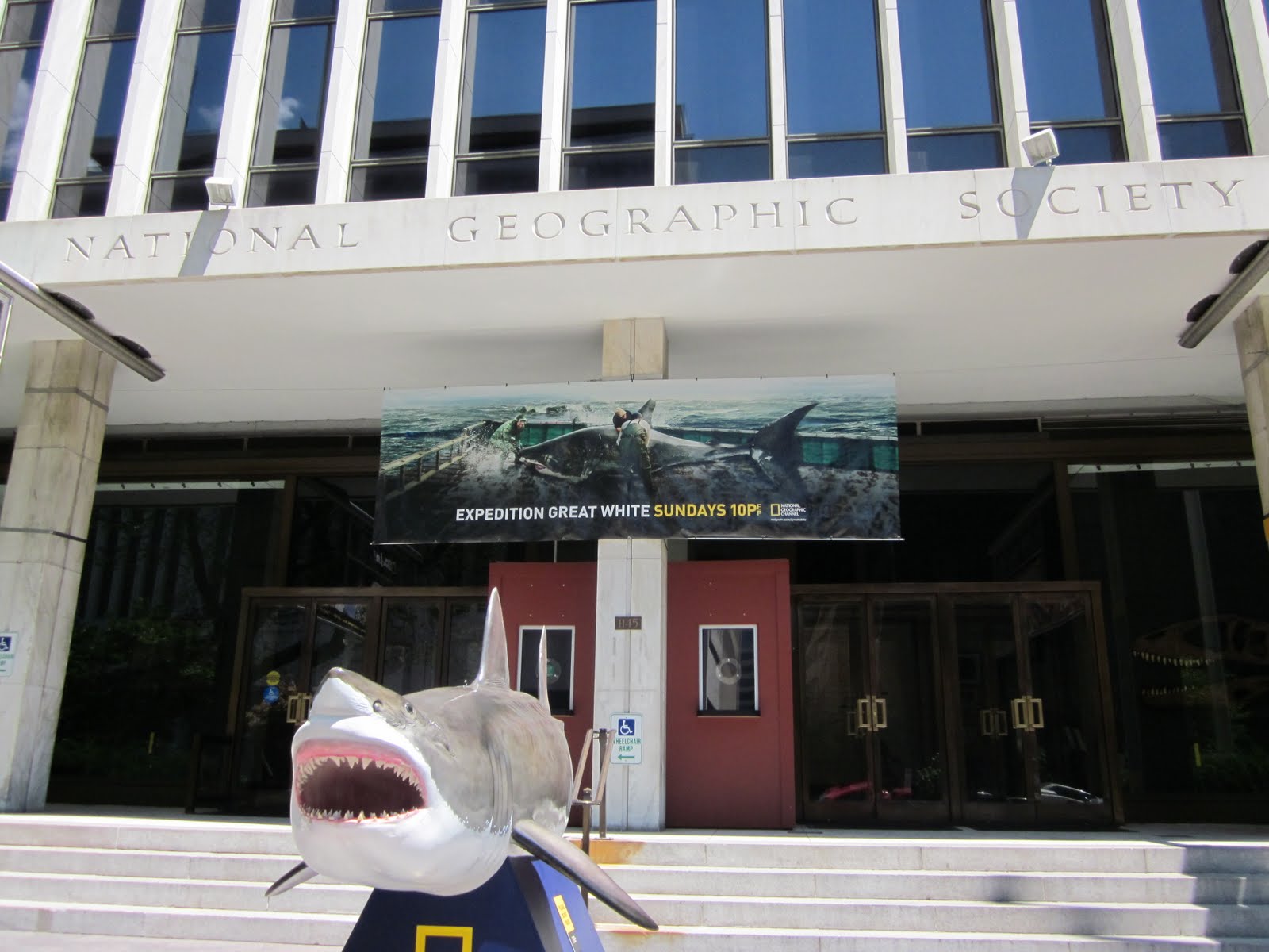 Washington Academic Internship Program National Geographic Museum