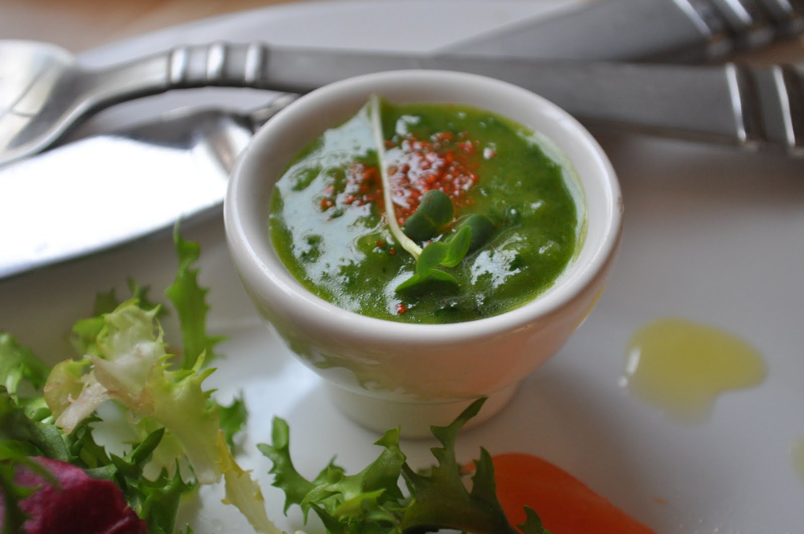 Apron's Delight Smoked Salmon Salad with Parsley Vinaigrette Dressing