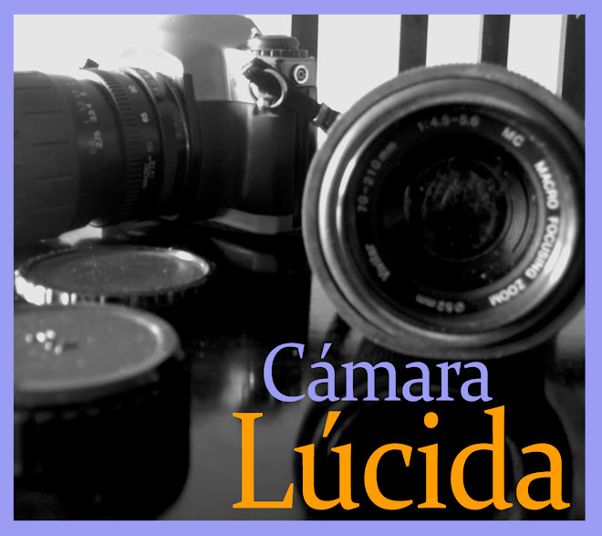 cámara lúcida