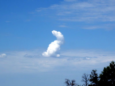 Bentuk-bentuk awan yang menyerupai sesuatu  Rabbit+cloud