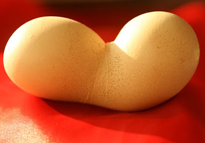 Oddly-Shaped Egg Oddly-Shaped Egg