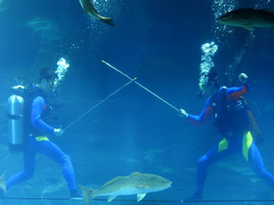 Underwater fencing Underwater fencing