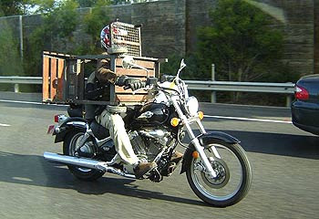 Stuart with a barbecue on his bike Stuart with a barbecue on his bike