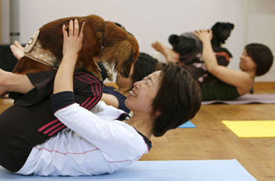 Dog Yoga Dog Yoga