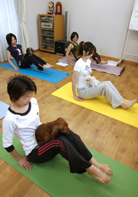 Dog Yoga Dog Yoga