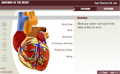 3D Heart Tutorial 3D Heart tutorial