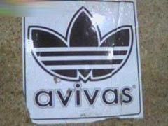 Avivas Avivas