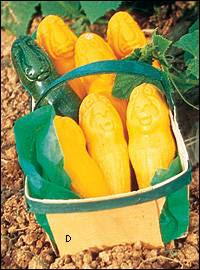Vegetable Molds Vegetable Molds