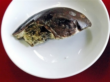 A 2,100-year-old melon A 2,100-year-old melon
