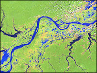 Amazon River Amazon River