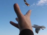 Hand Hand