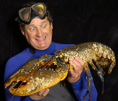 Lemmy the giant Lobster Lemmy the giant Lobster