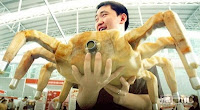 Robo Crab Robo Crab
