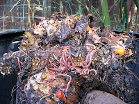 Worms Worms